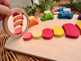 Pattern and Play Peacock