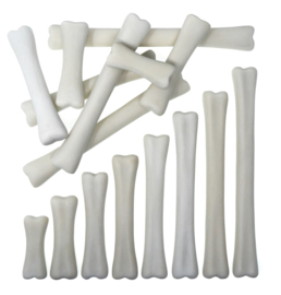 Dino Botten Match and Measure Set