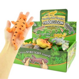 Van kleur veranderende hagedis