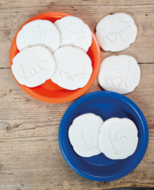 Let’s Investigate – Polar pootafdrukken