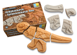 Dig & Discover T-Rex en Ankylosaurus