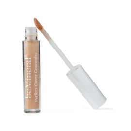 BeMineral Perfect Cover Concealer