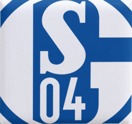 FC Schalke 04