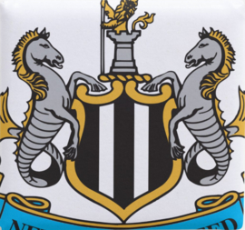 Newcastle United FC