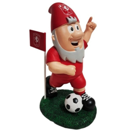 FC Twente kabouter
