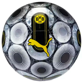 Borussia Dortmund voetbal