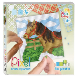Pixel Set - Paard
