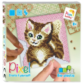 Pixel Set - Poes