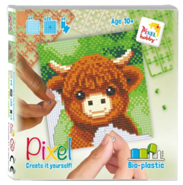 Pixel Set - Schotse Hooglander