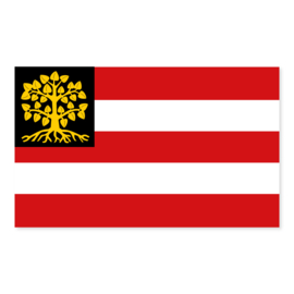 's-Hertogenbosch Vlag