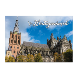 Sint-Janskathedraal Zuidzijde Foto Magneet