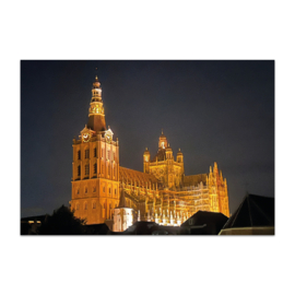 Sint-Janskathedraal by Night Foto Magneet