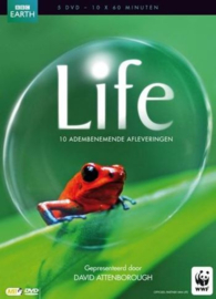 Life - DVD