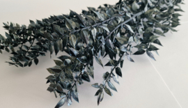Ruscus donker blauw