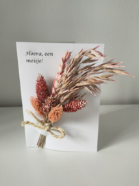 Hoera een meisje