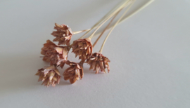 Hill flower roze