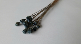 Happy flower blauw