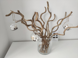 Droogbloemen bollie