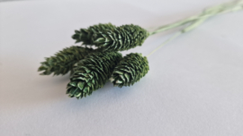 Phalaris groen