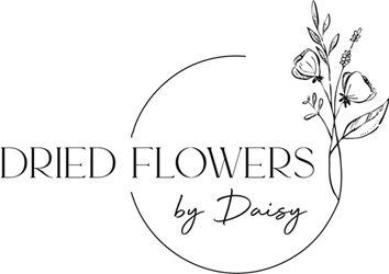 Dried flowers by Daisy
