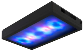 aquarium accessoires