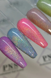 PNSgelpolish Holo CatEye