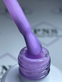 PNS B Bottle Purple