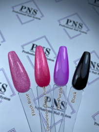 PNS B Bottle Hot Purple