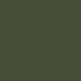 I.Am by BO. Soak Off Gel Polish #146 Sage Olive (15ml)
