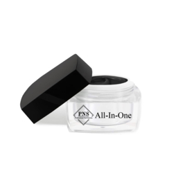 PNS All-In-One Gel 03