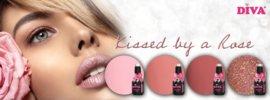 DIVA Gellak Sensual Rose 10 ml