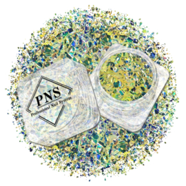 PNS Glitter 89