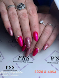 PNSgelpolish 4054