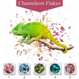 PNS Chameleon Flakes 1 t/m 5