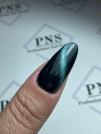 PNSgelpolish 1029