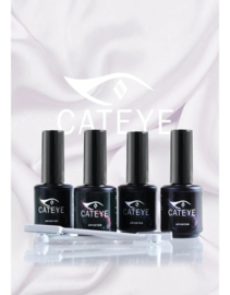 #001 Maine Coon UPVOTED Cat Eye 15ml