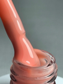 PNS BIG B Bottle Peach Nectar