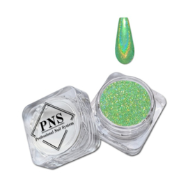 PNS Pigment 81 HOLO CHROME