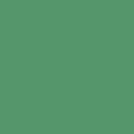 I.Am by BO. Soak Off Gel Polish #143 Sour Sprout (15ml)