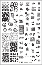 PNS Stamping Plate 30