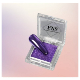 PNS 2in1 Chrome Pigment 10