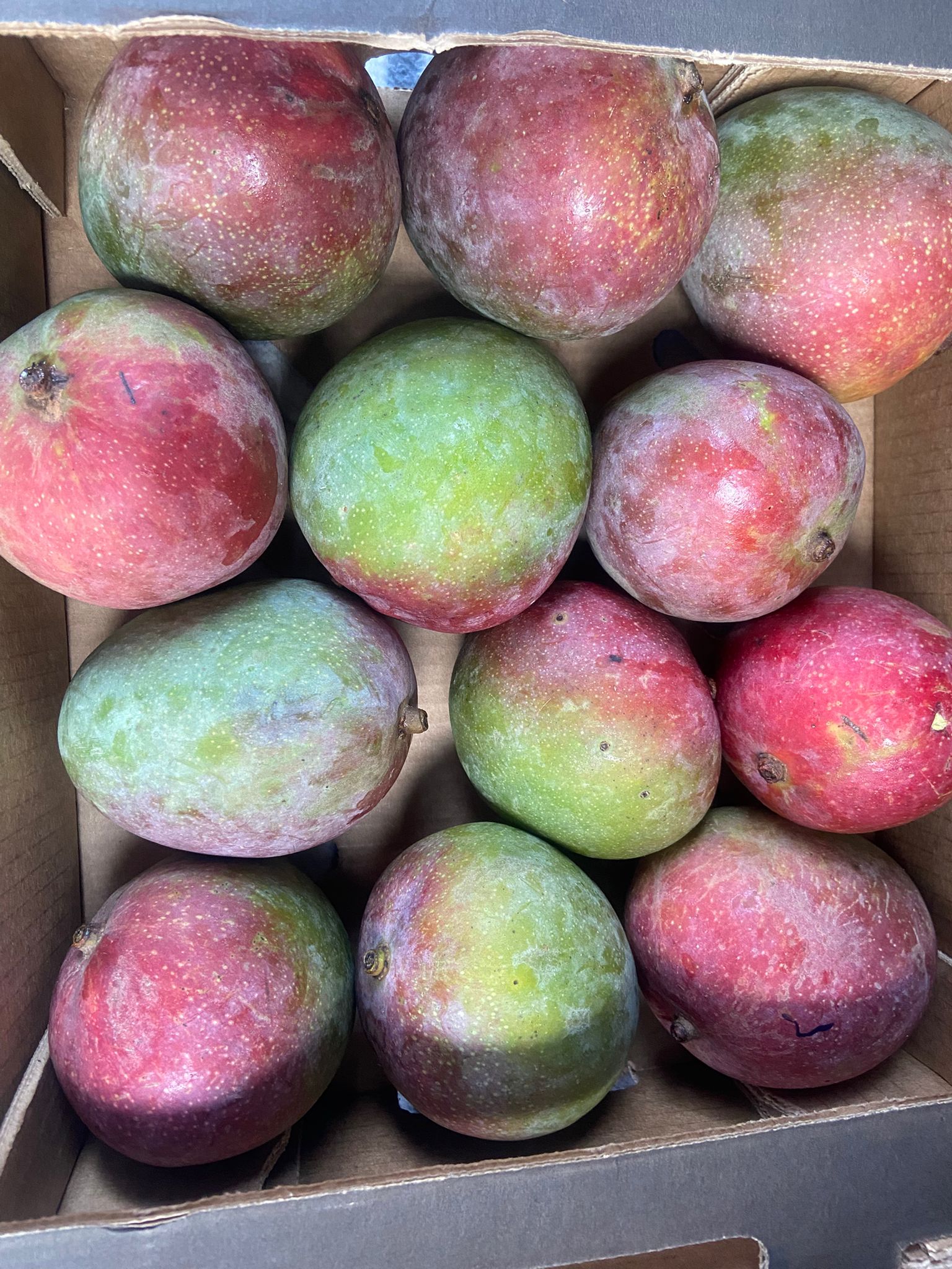 Mango's - Ca. 12 stuks