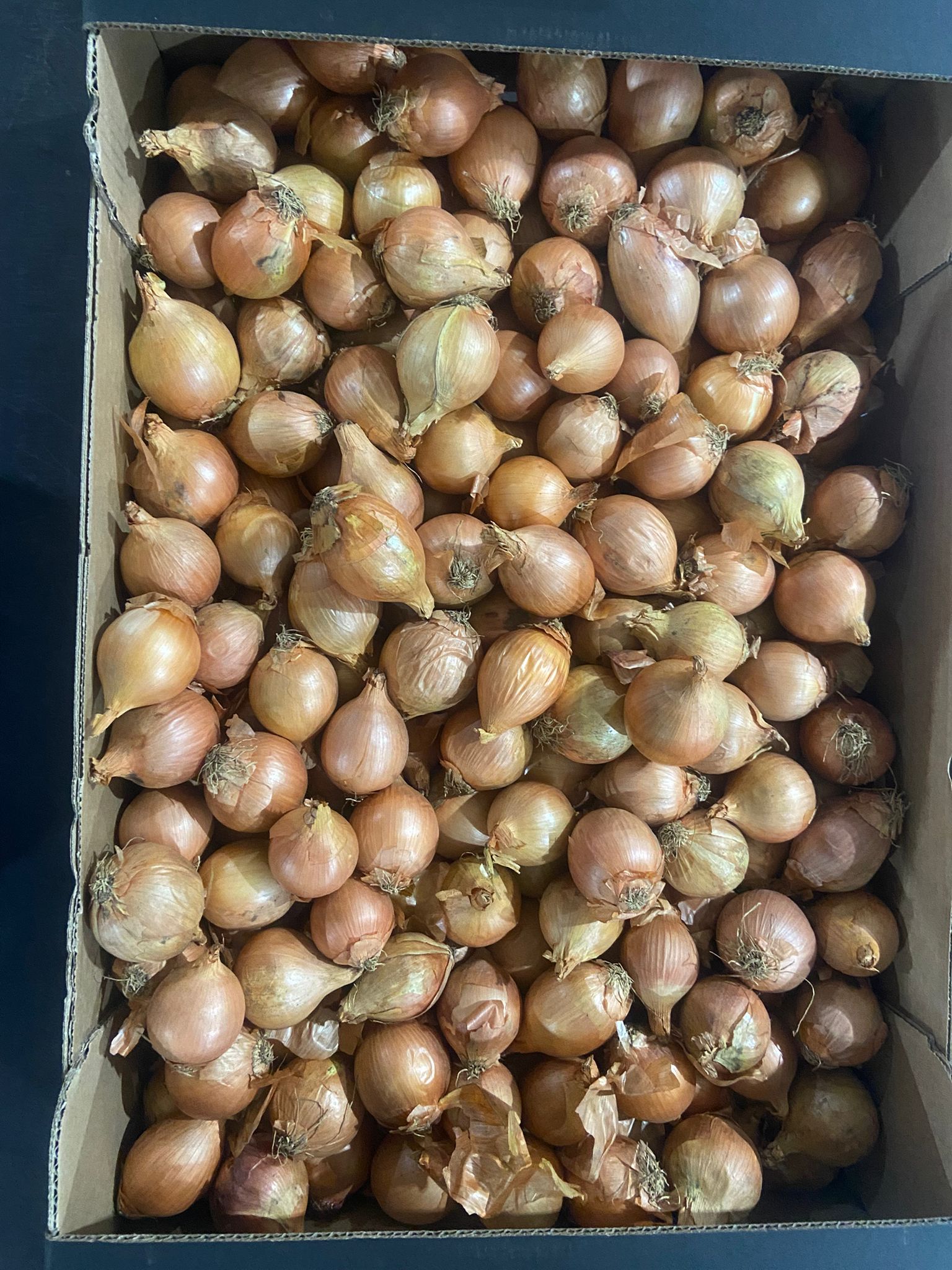 Gele uien - 10Kg