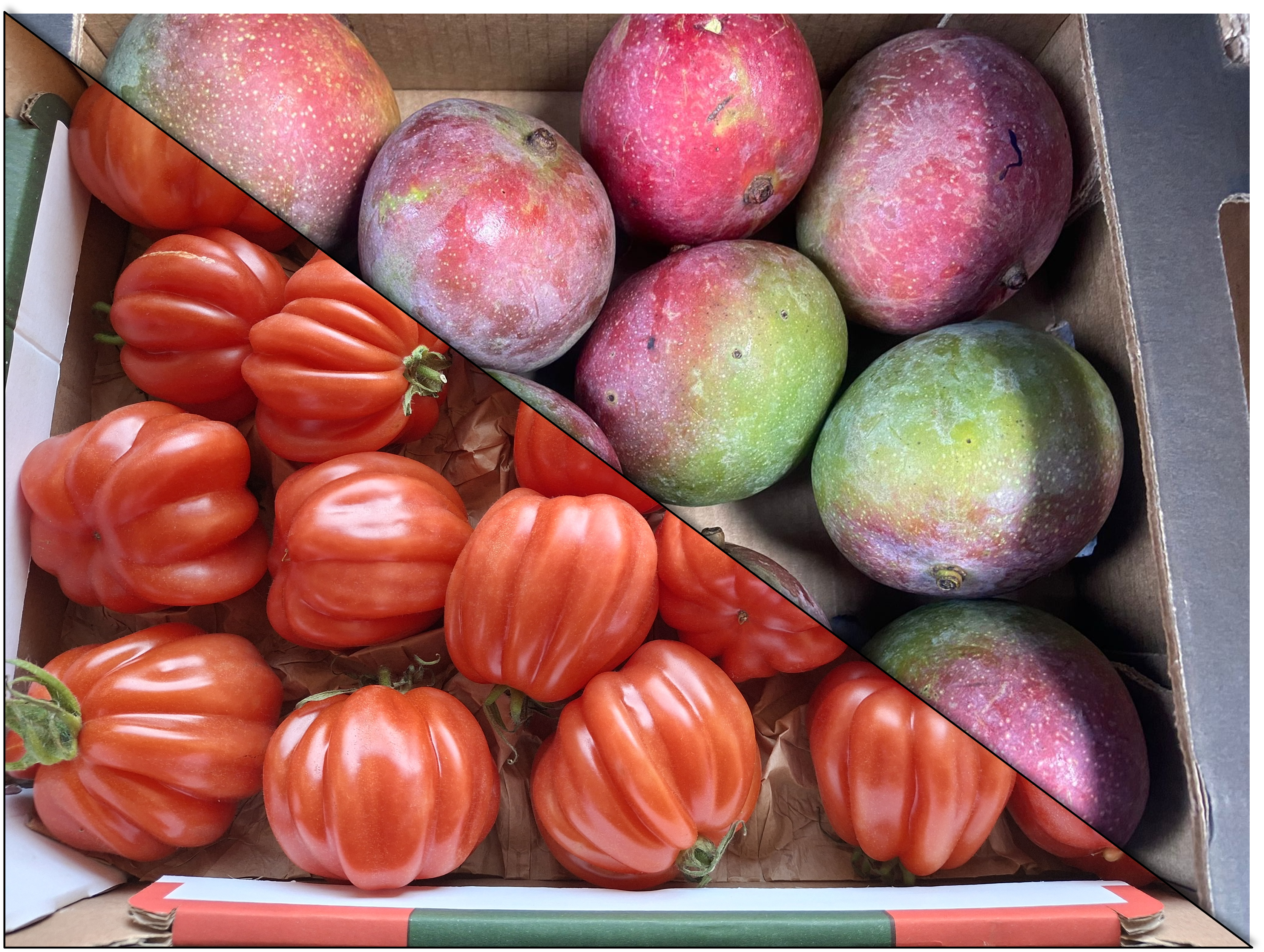 Combi Deal Mango's en Coeur de Boeuf