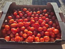 Dormaplum Tomaatjes - 3,5 Kg