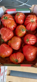 Coeur de Boeuf Tomaten - 3Kg