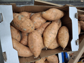 Zoete aardappel - 6 Kg