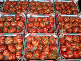 Coeur de Boeuf Tomaten - 3Kg