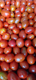 Dormaplum Tomaatjes - 3,5 Kg