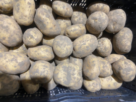 Aardappels Bonken - Ca. 10 Kg